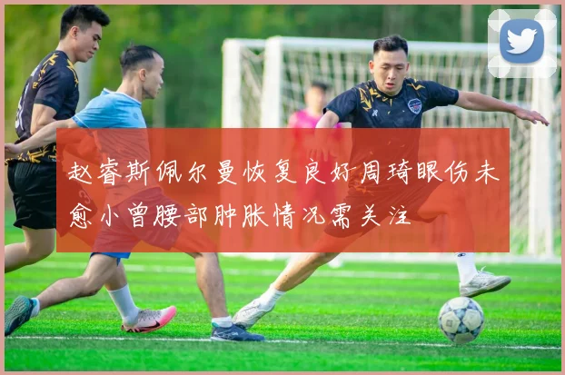 赵睿斯佩尔曼恢复良好周琦眼伤未愈小曾腰部肿胀情况需关注